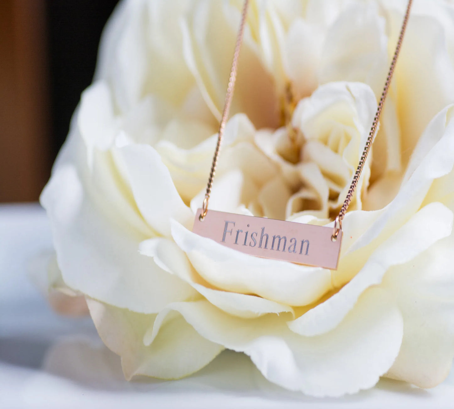 Name Necklace, Bar Necklace, Custom Coordinates, Sorority Necklace, Custom Name, Monogram Necklace, Greek Letters, Initials, Bridesmaid Gift